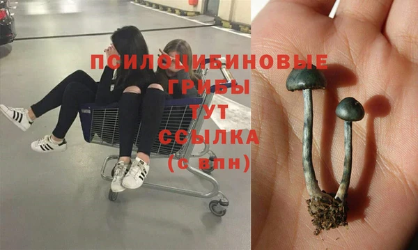 кокаин премиум Верея
